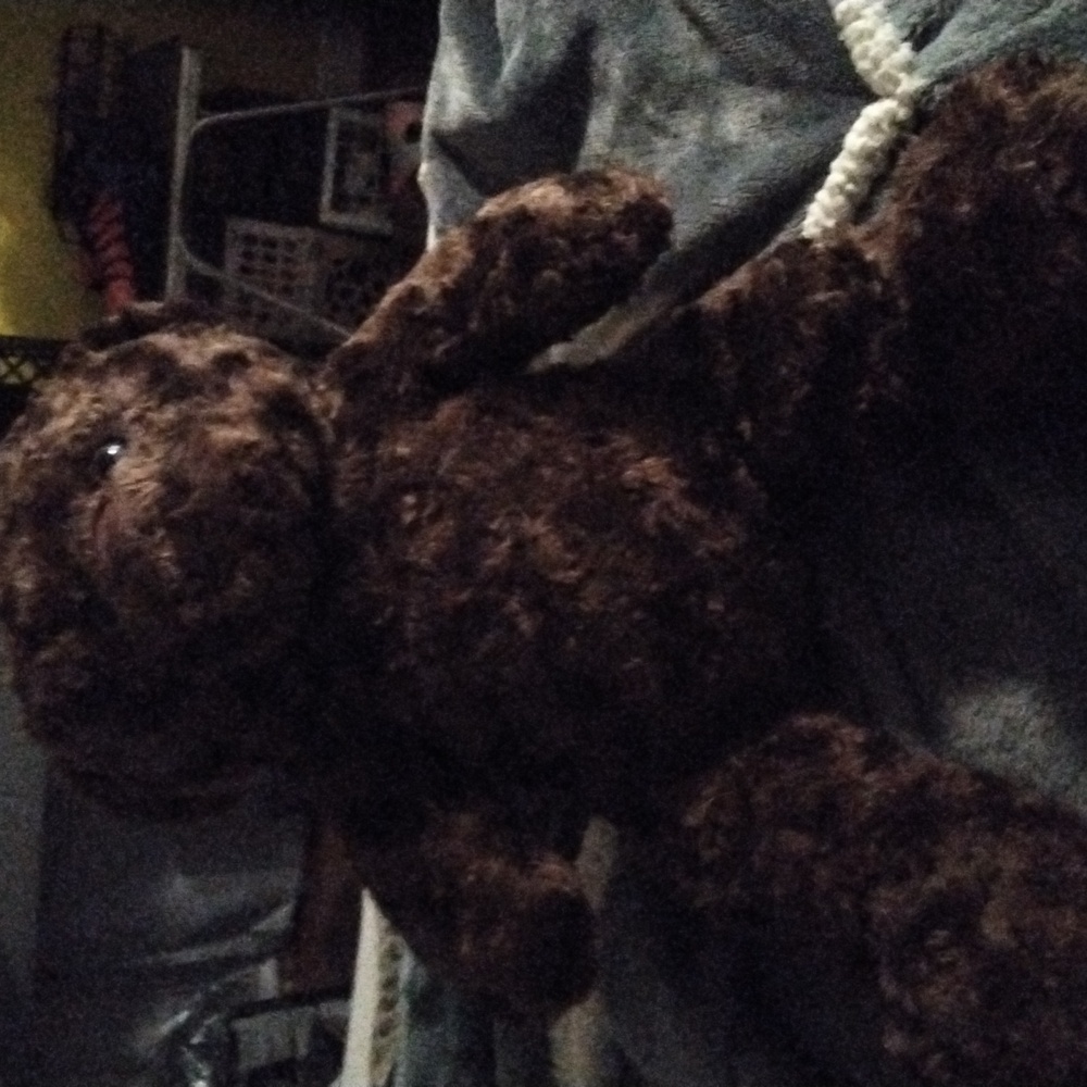 Plush Brown Teddy Bear URN